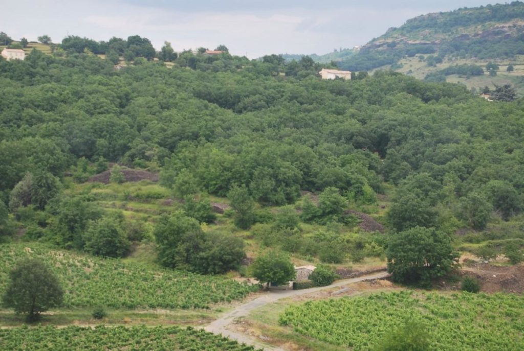 Gîtes Gaillard location de gîtes en Ardèche